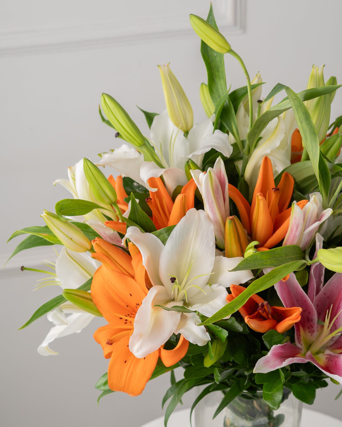 Lily Bloom