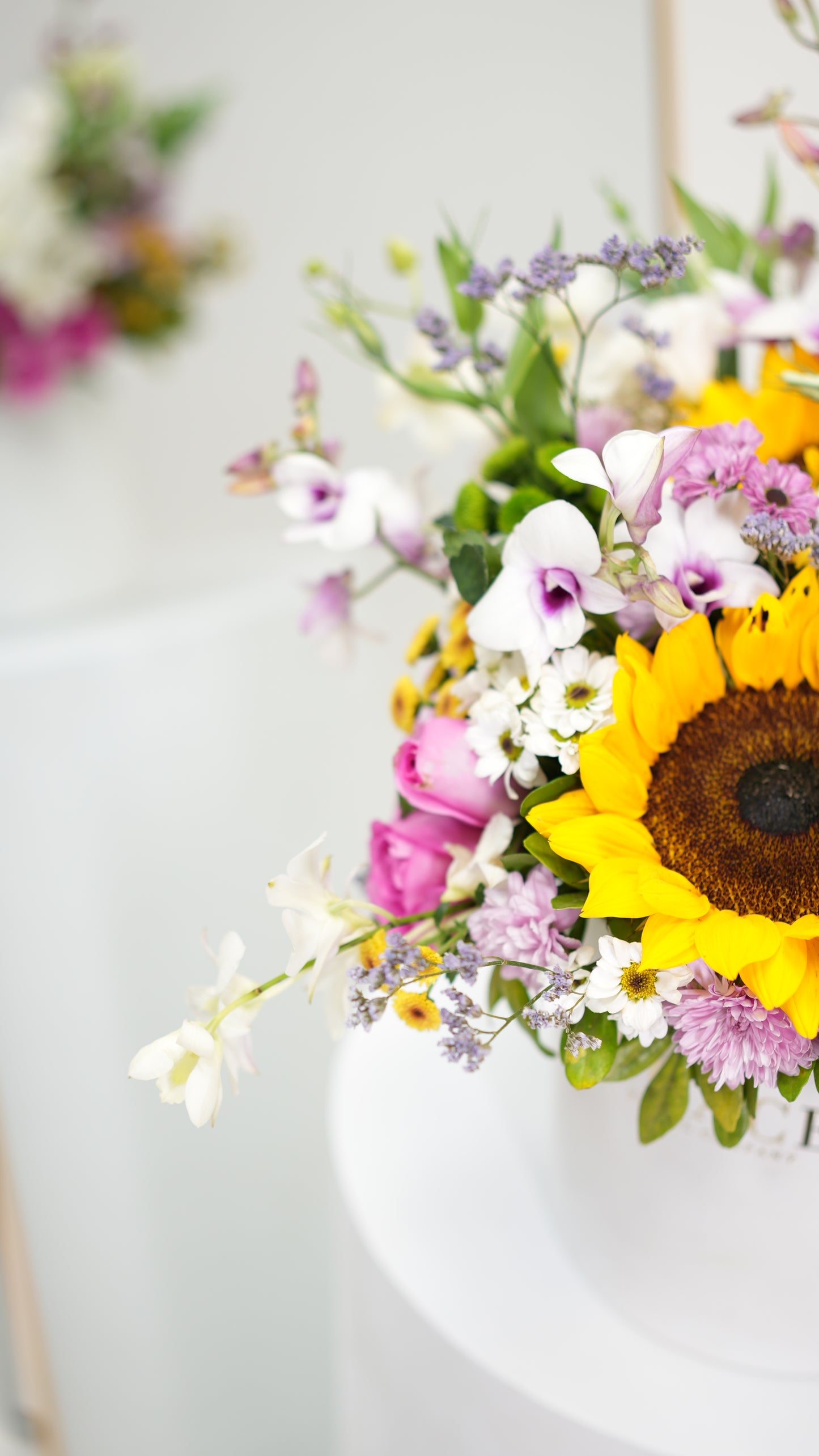 Little bit of everything